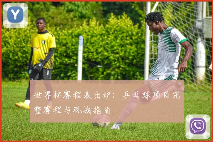 世界杯赛程表出炉:乒乓球项目完整赛程与观战指南